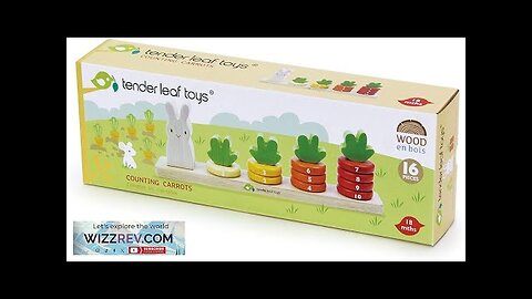 Tender Leaf Toys Counting Carrots Wooden Stacker Review