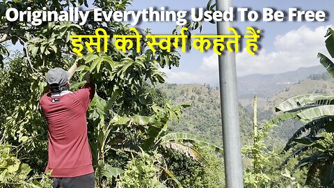 Originally Everything Used To Be Free, Here Its The Same इसी को स्वर्ग कहते हैं #uttarakhand #canada
