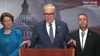 Chuck Schumer Snaps at a Reporter Over a Question on SNAP Benefits