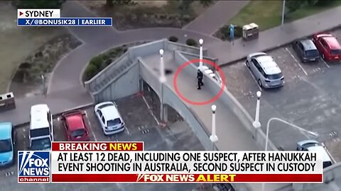 SEE IT: Bystander to Australian terror attack attempted to disarm mass shooter