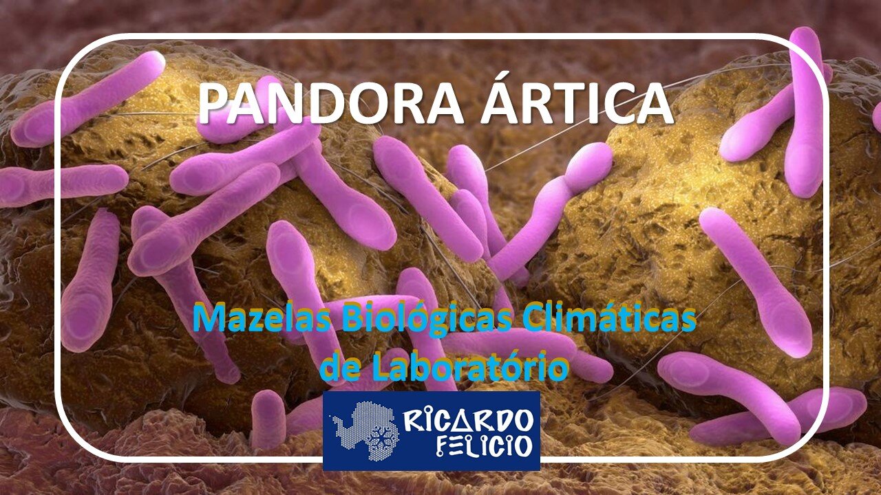 Pandora Ártica