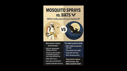 🦟 Spray or bats 🦇?? Which protects your backyard best?