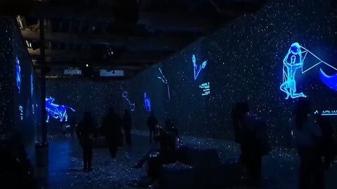 Seeing our Zodiac signs at the Illuminarium