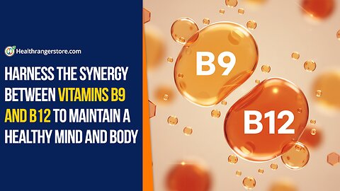 Harness the synergy between Vitamins B9 and B12 to maintain a healthy mind and body