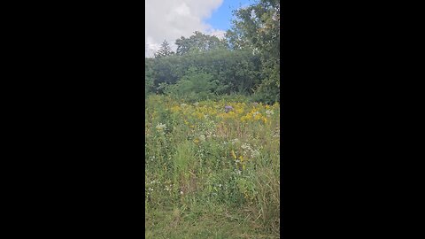 Nature's Garden
