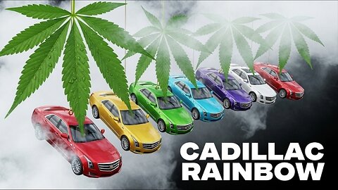 Cadillac Rainbow from shop Hello Mary