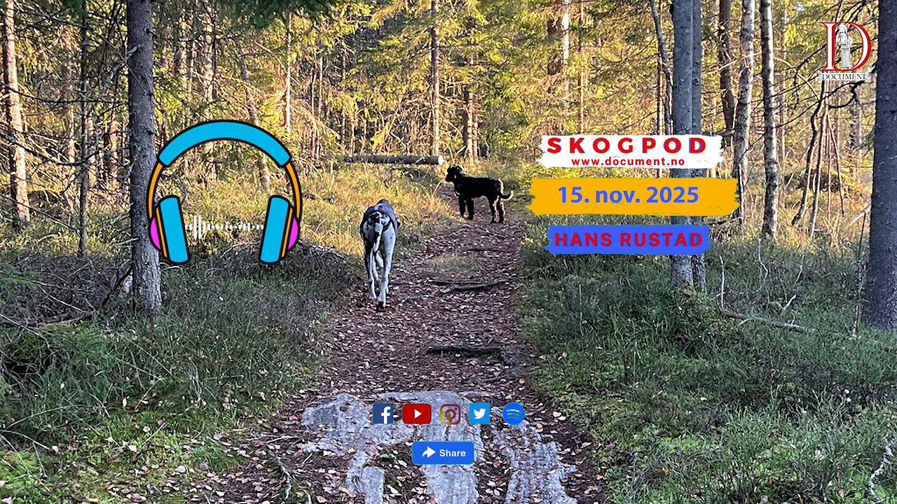 Skogpod 15. november 2025