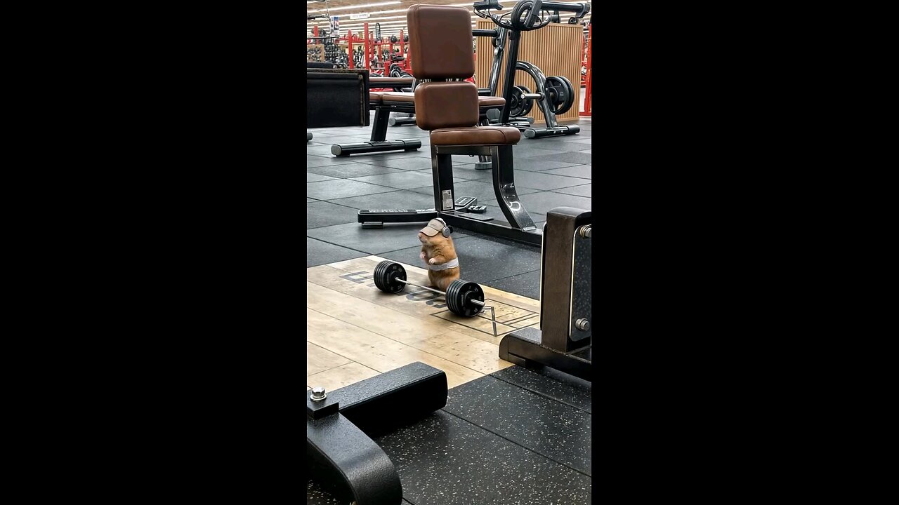 gym motivation 💪💯