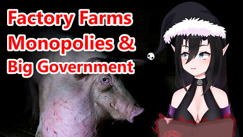 Corporate Abuse or Big Government? Zaytris | VTuber