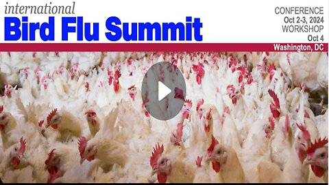 LISTEN CLOSELY!!!| The Bird Flu IS A Distraction| They Are Telling Us What's Really Coming!