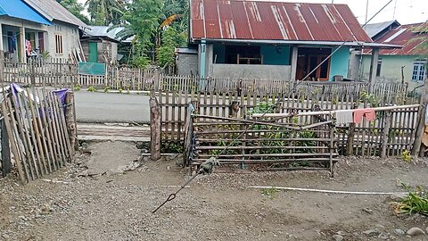 A cozy and peaceful atmosphere in my village in Indonesia