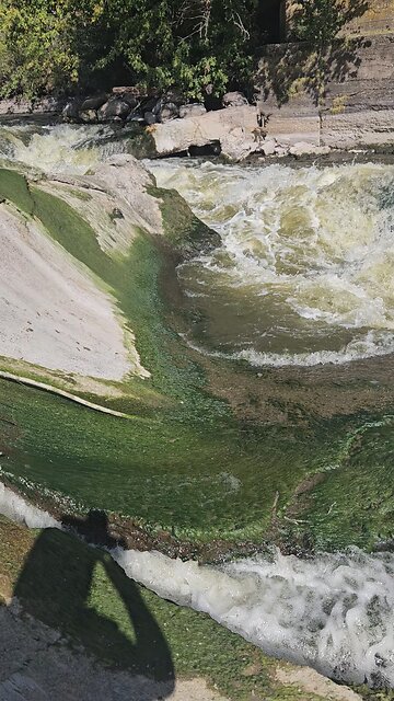 I Almost Bought the Farm After Taking this Video