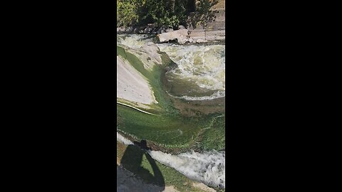 I Almost Bought the Farm After Taking this Video