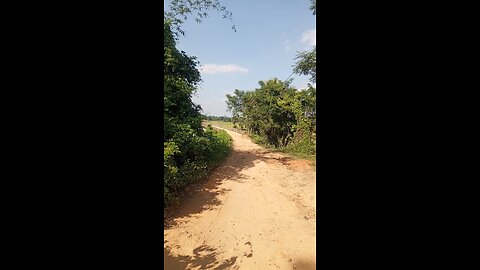 গ্রামের একটি সুন্দর বীজের প্রবেশ পথ