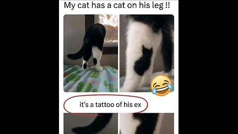 “When Life Gives You Funny Mood | Ultimate Meme Shorts” #FunnyMemes #MemeShorts #ViralVideo