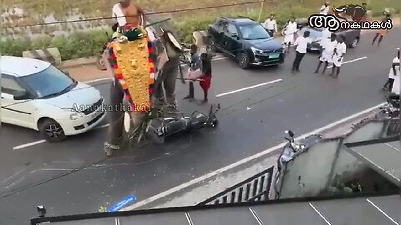 ബൈക്ക് കുടുങ്ങി ആനയുടെ ചങ്ങലയിൽ _ elephant attack kerala 2025 _ koyilandi elephant attack