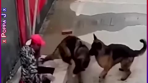 Friends Until the End 🐾