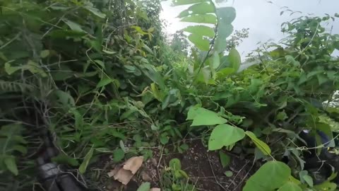 🔥💥 Myanmar War | Karenni Rebels Attack Myanmar Army Base in Hpasawng | RCF
