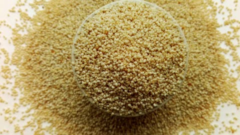 सर्दी में खसखस खाने के फायदे #short #health #viarl