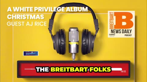 AJ Rice Talks Identity Politics & The White Privilege Album on Breitbart Daily News with Mary Walter