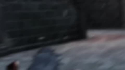 Pubg Trending #noxelomniagaming