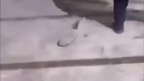 Prank