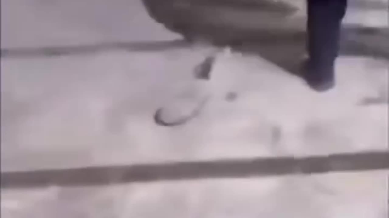 Prank