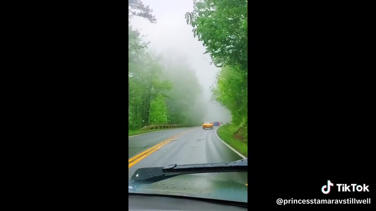 FOTD Spring 2024 Life moves pretty fast