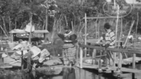 Frank Zappa (goes on Vacation and sees) The Perfect Stranger