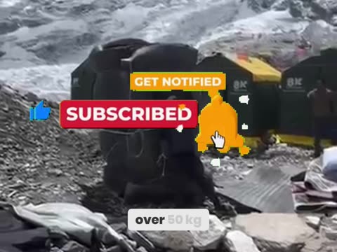 The Untold Brutality of Sherpa Porters: What They Endure on Everest!