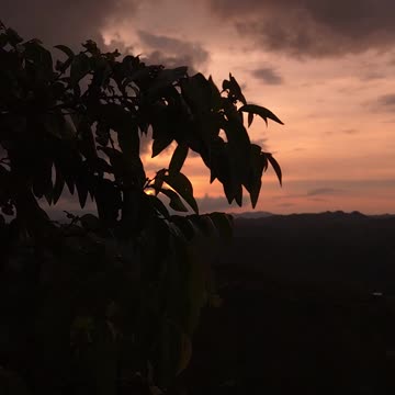 Another Beautiful Sunrise in the Philippines 🌅 | Expat Morning Vibes