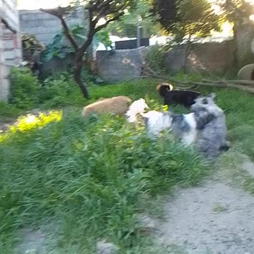 El atardecer con mis únicas compañías