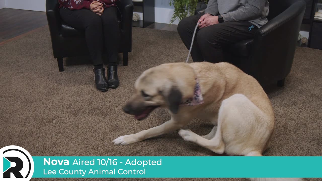 Pet of the Week Adoption Update - January 2025