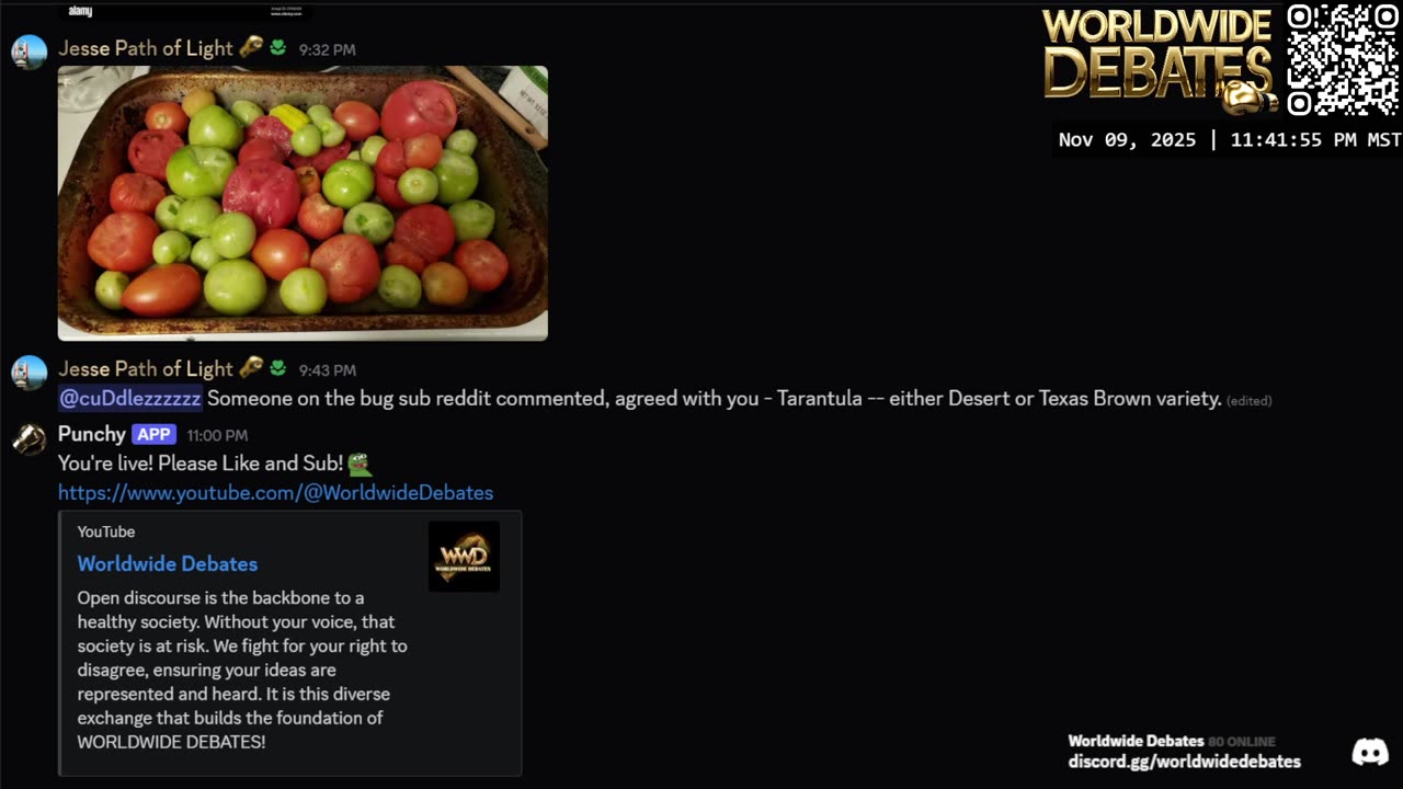 0158 WIDESTREAM - Worldwide Debates - YouTube/Twitch/Rumble