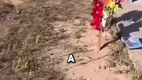 GHOST HEARD IN CEMETARY CAR