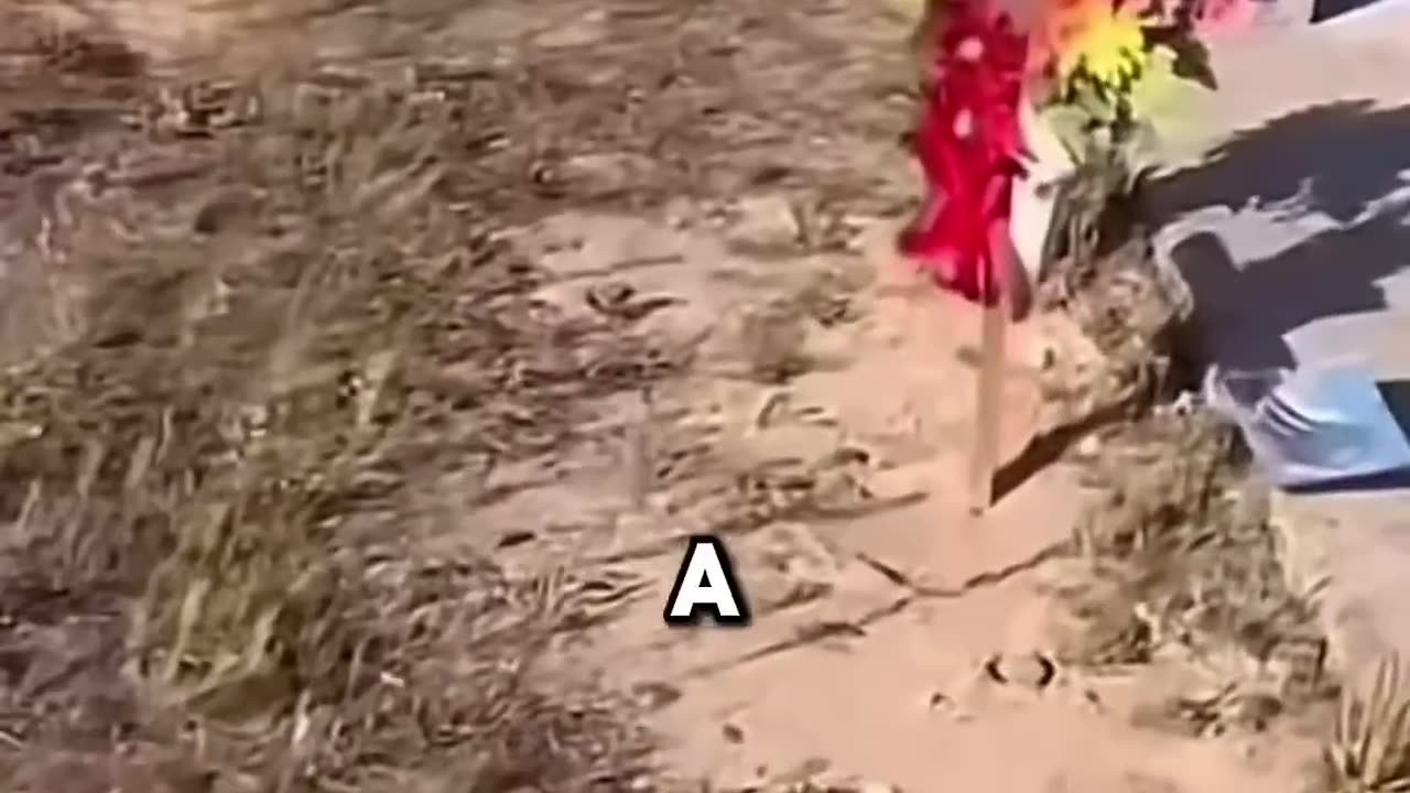 GHOST HEARD IN CEMETARY CAR