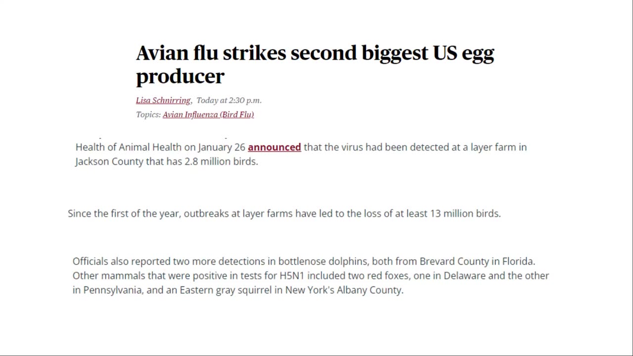 Duck Farm & millions of chickens exterminated in a few days due to bird flu HOAX