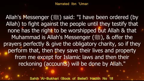 English Translation of Hadith 14 I Sahih Al-Bukhari I Book of Belief I Book # 2