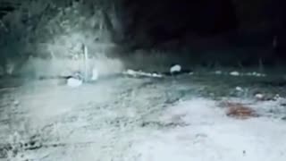 Park Ranger Sees Bigfoot in Appalachians