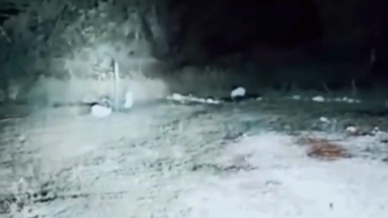 Park Ranger Sees Bigfoot in Appalachians