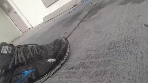 Dammit (August 7, 2017)