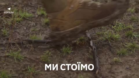 Someday we will return home, but now the country needs us. This is our time and