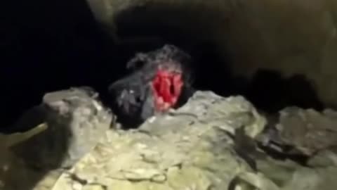 Nobody expected this to happen in just 26 seconds…