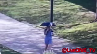 Epstein Monster Maxwell walks in the Sun