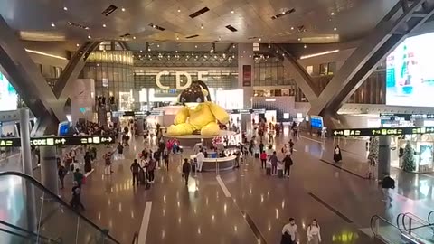 The scene at Hamad International Airport, Doha