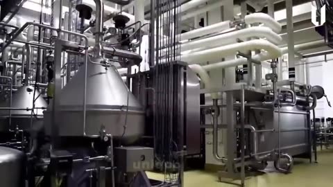 How Condensed Milk is Made in Factory