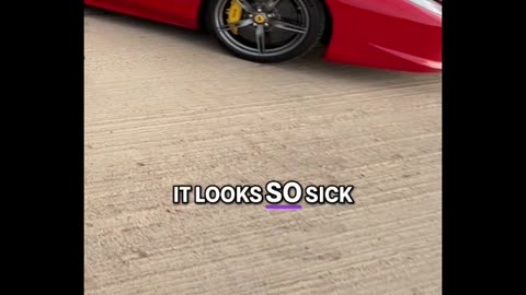 FULL TOUR OF MY SALVAGE YARD | Hidden Treasures Everywhere 😱