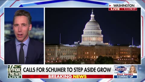 Sen. Josh Hawley exposes that the Dem civil war against Chuck Schumer