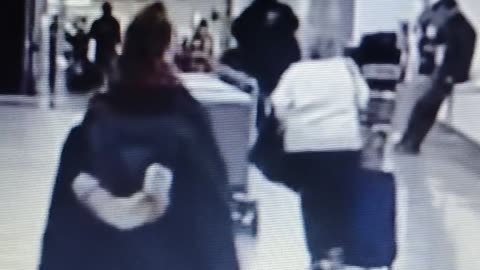 Shia, video recorded Oct 14, '25 by Alyssa