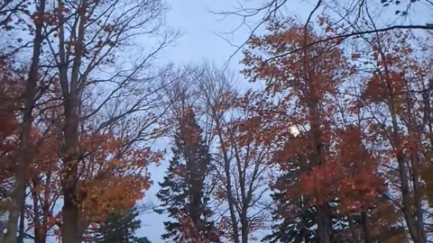 Full Moon Rising on Sunday Lake